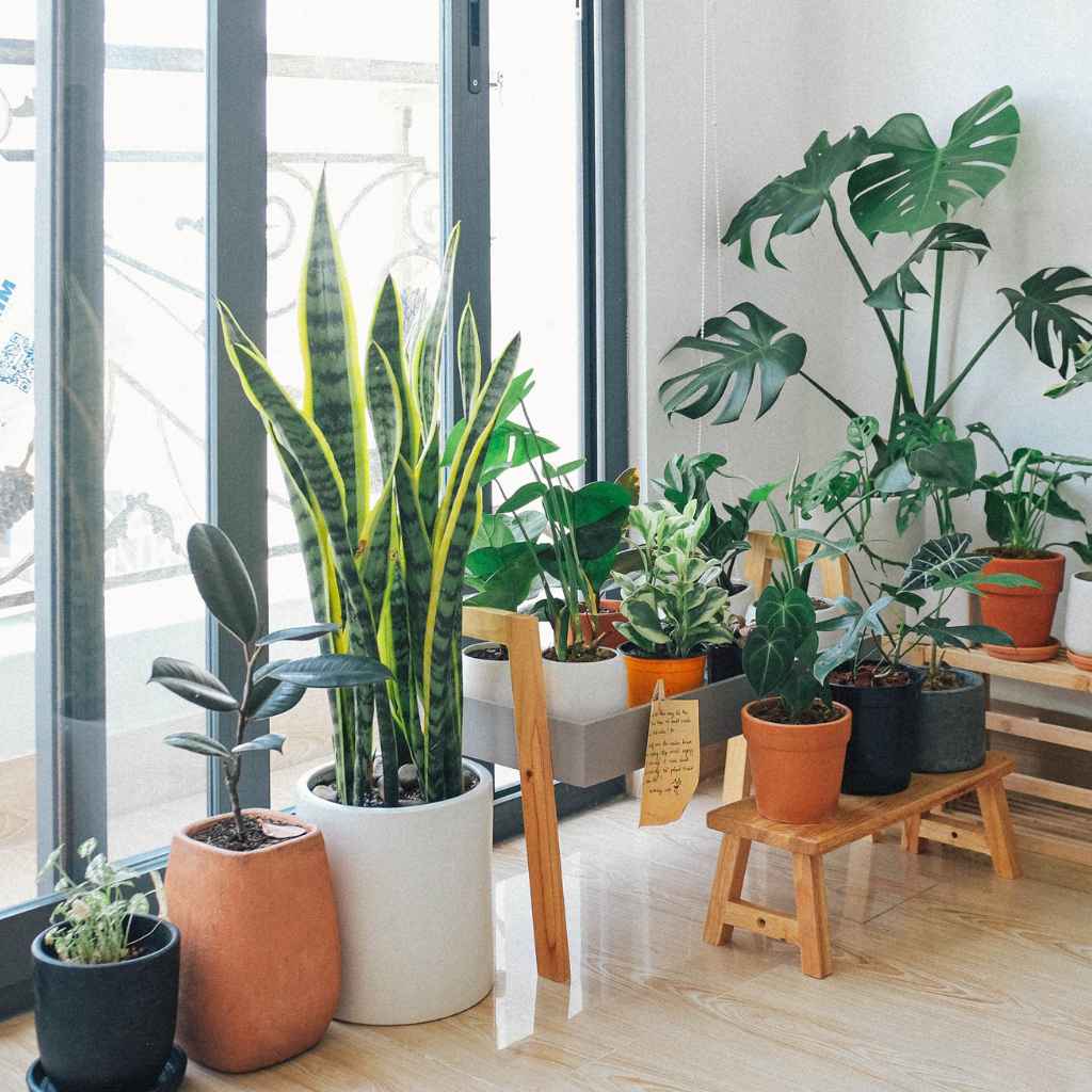Why Indoor Air Needs Help