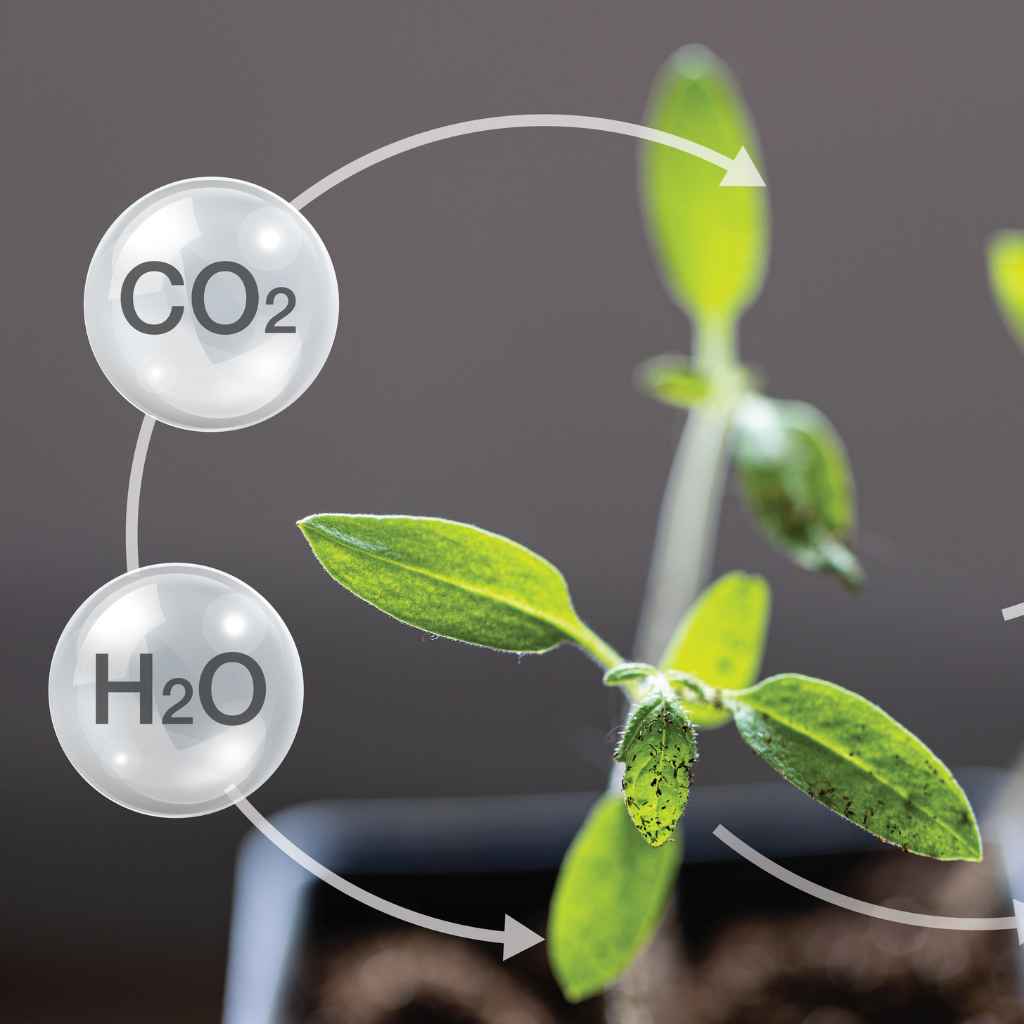 Quick Tips for Understanding