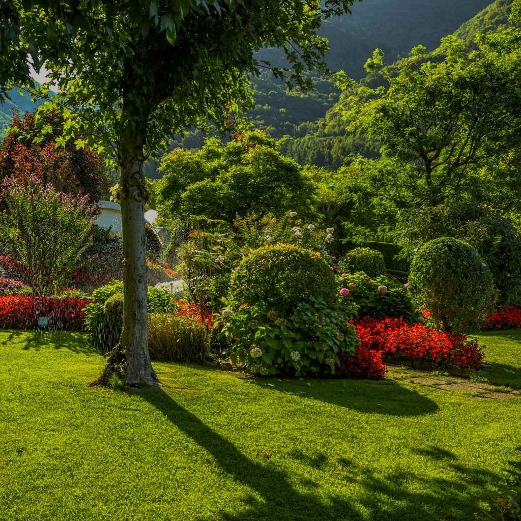 Understanding Bag Policies at the Atlanta Botanical Garden