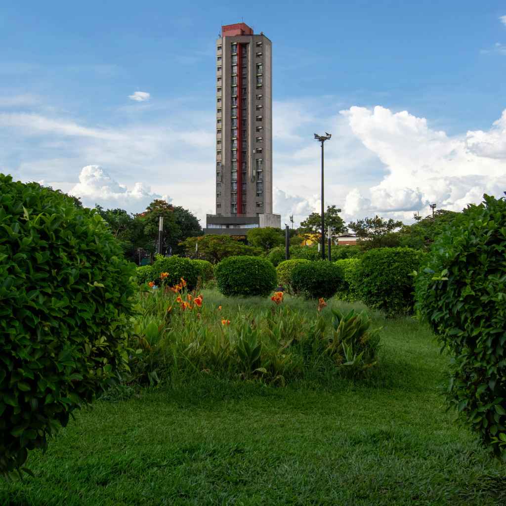 Understanding Amateur Photography at Tower Hill