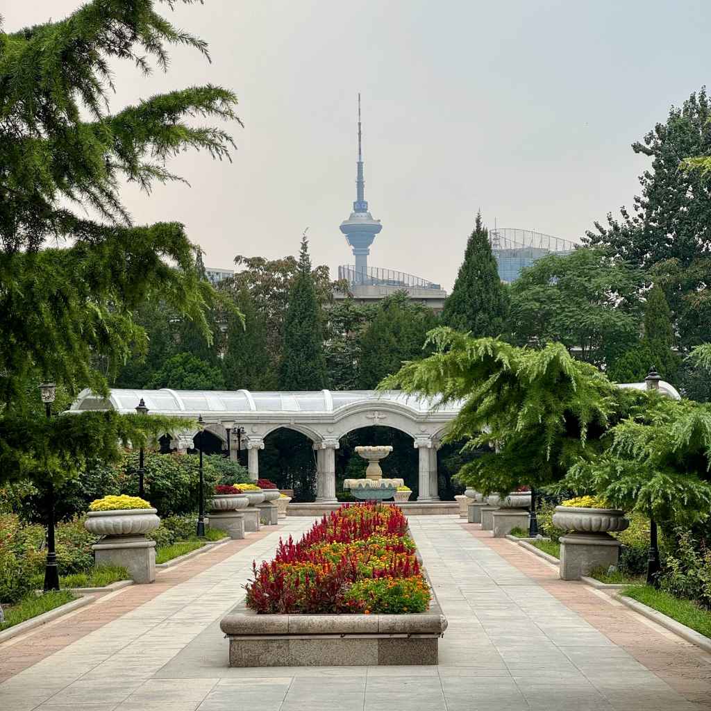 Quick Fixes and Tips for Better Garden Photos