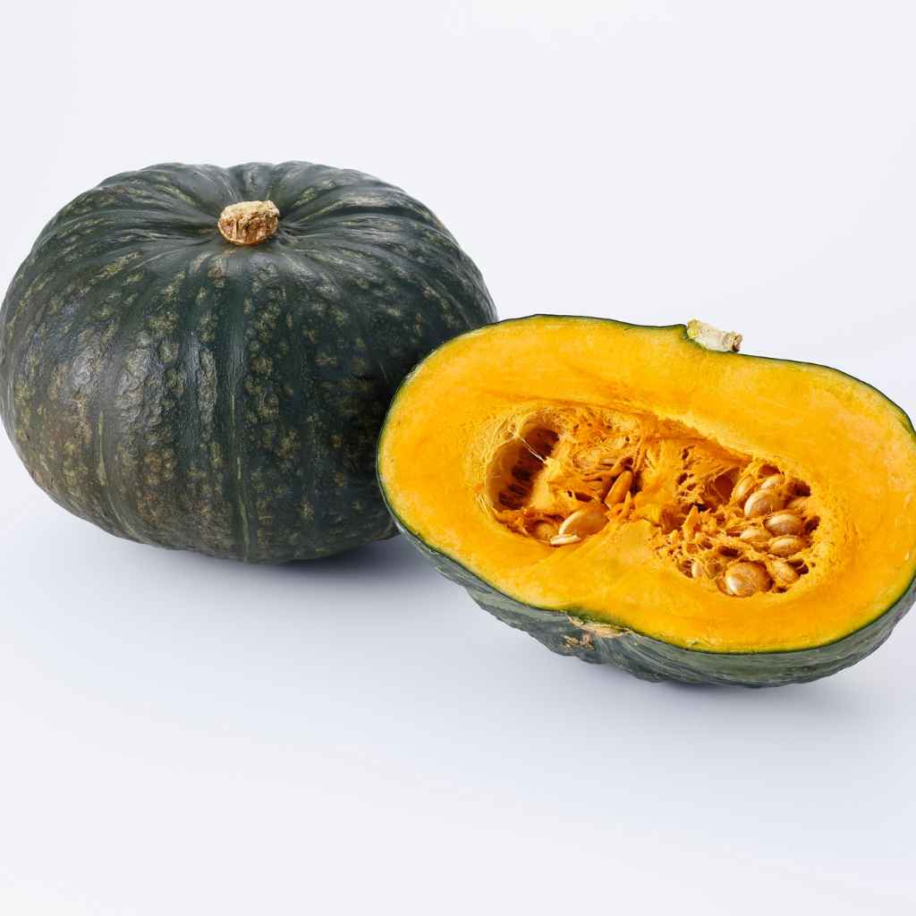 Understanding Squash Seeds