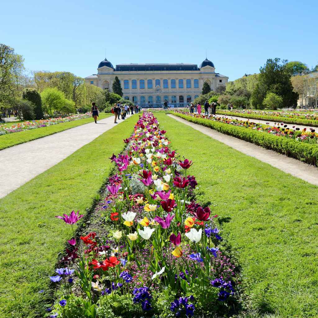 Understanding Botanical Garden Bulb Walks