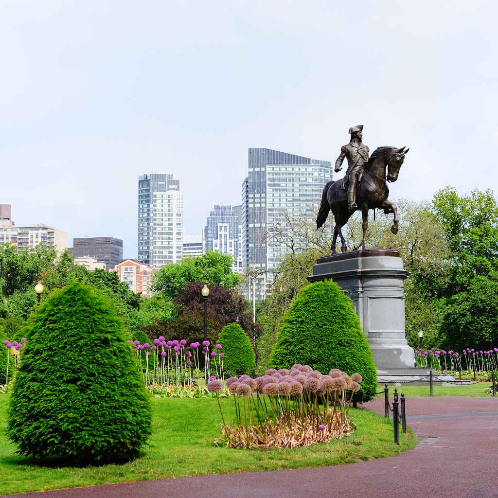 Quick Tips for Your Journey