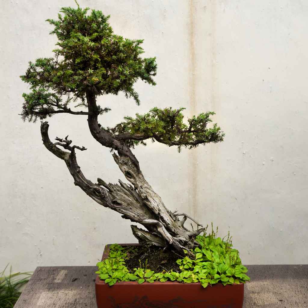 Why Patience Pays Off