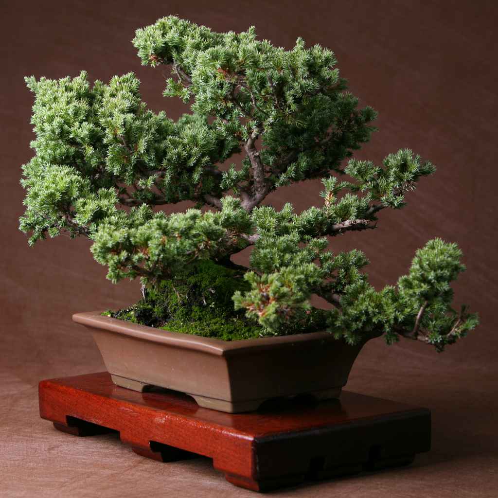 Quick Fixes and Long-Term Care