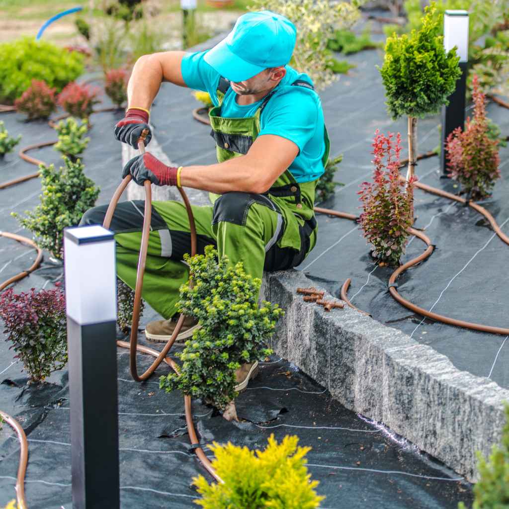 Understanding Drip Irrigation Landscapers