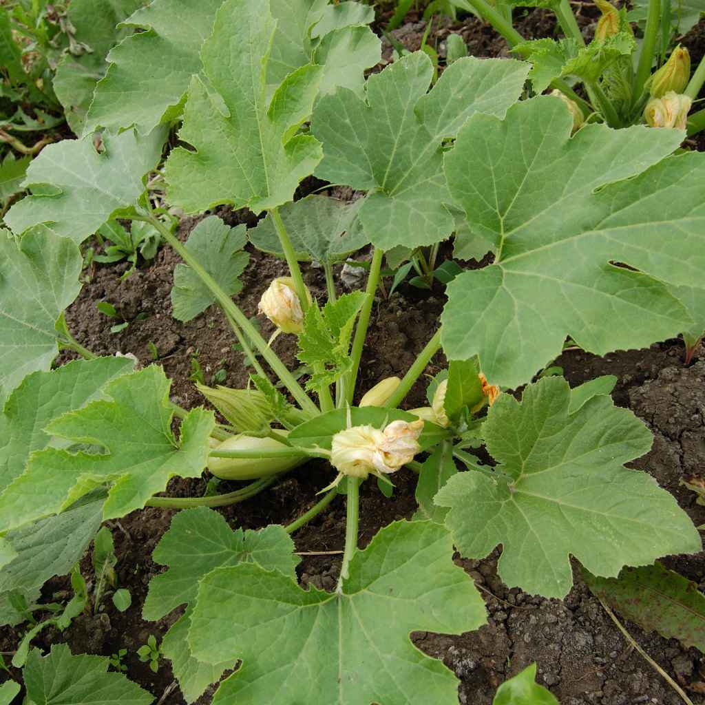 Quick Tips for Success