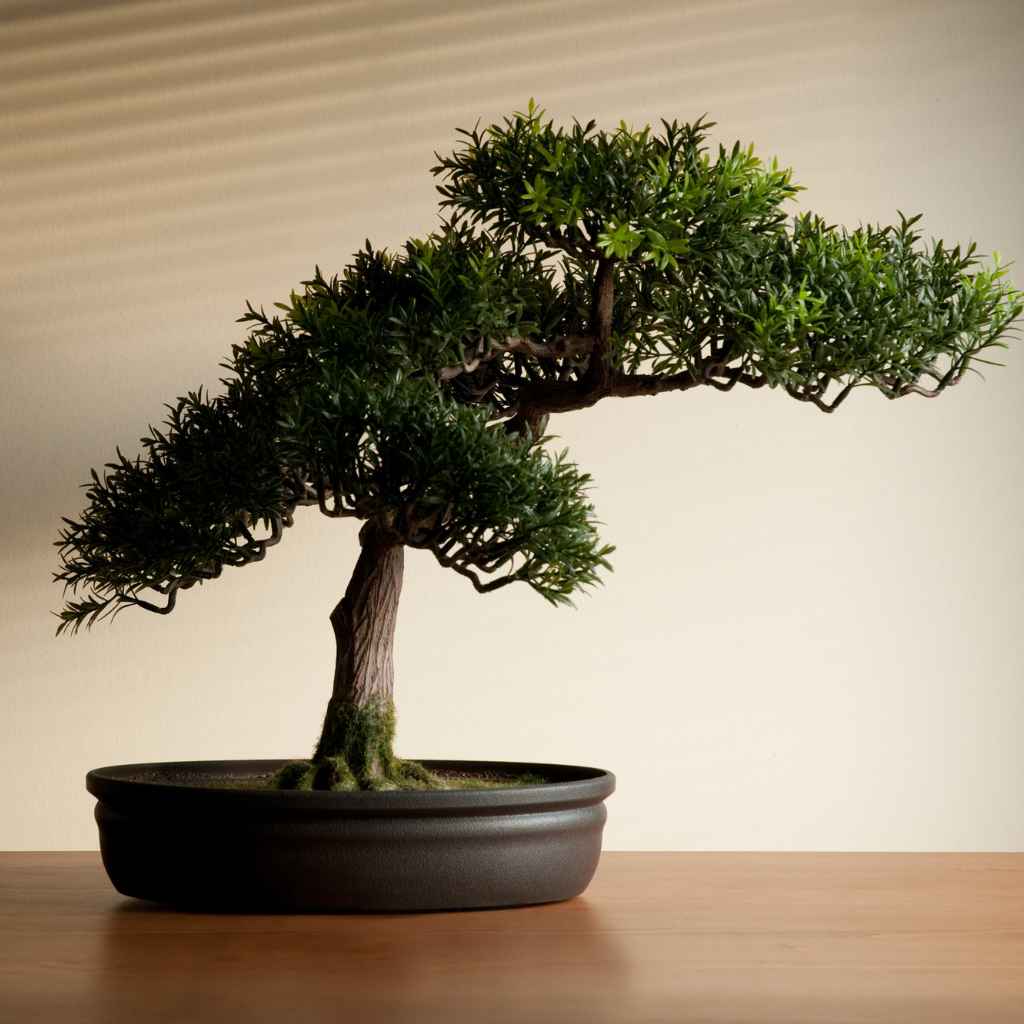 Common Pitfalls to Avoid