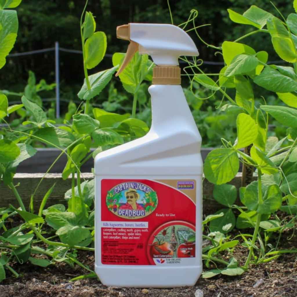 Understanding Bonide Captain Jack's Deadbug Brew