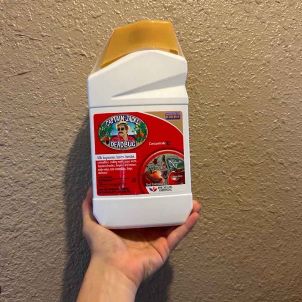 What This Means for Your Vegetable Garden