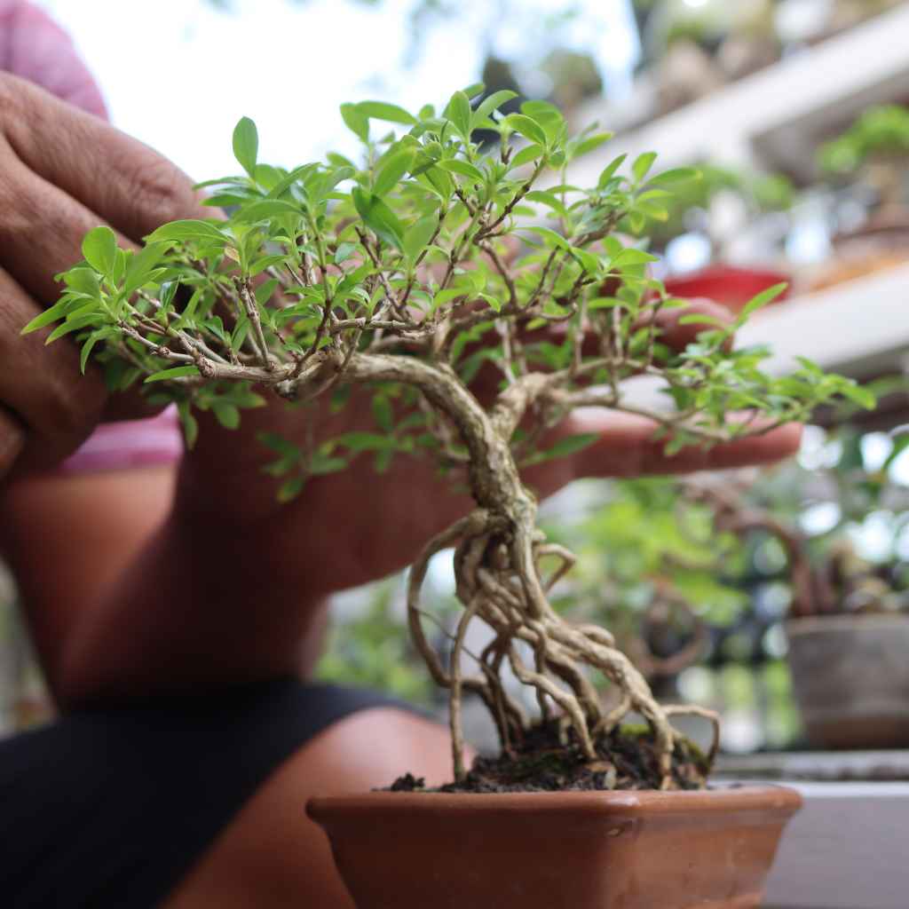 Quick Fixes and Tips for Decor