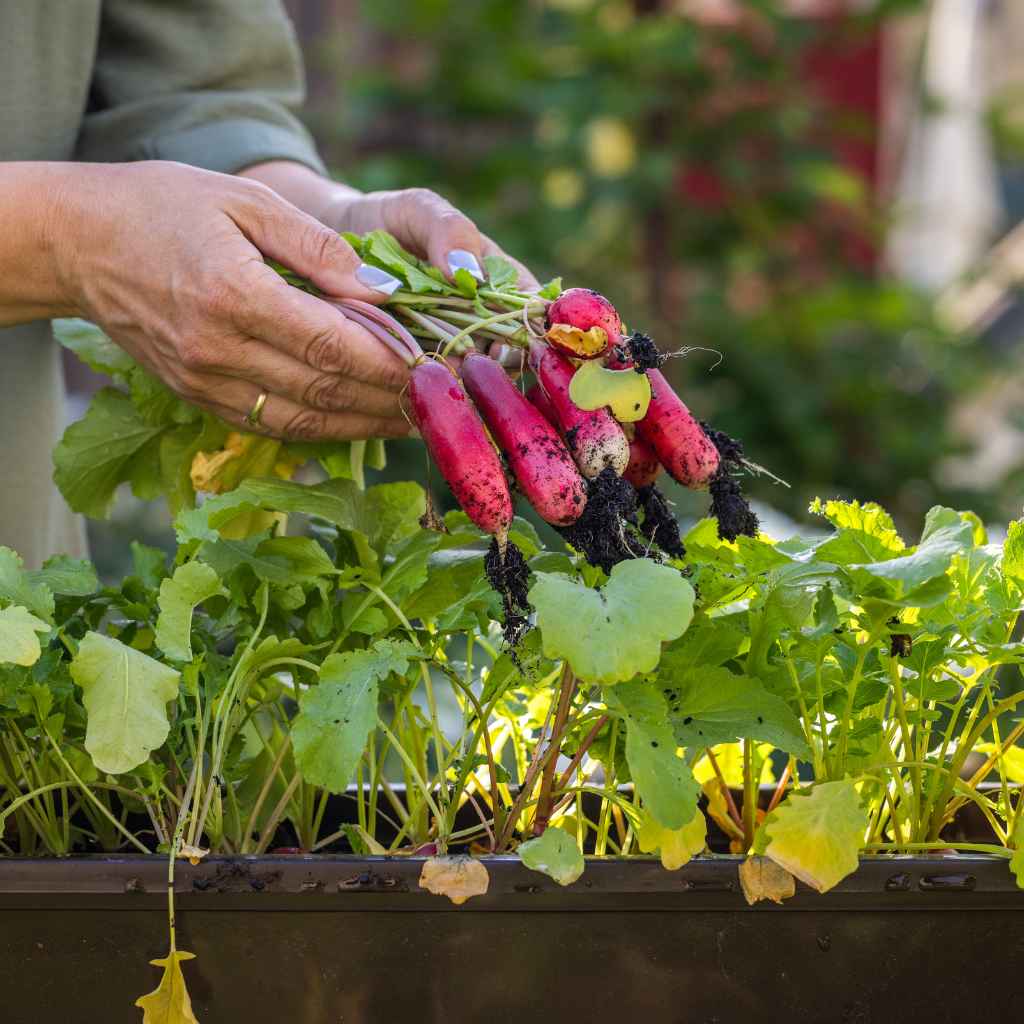 Potential Contaminants and Health Risks