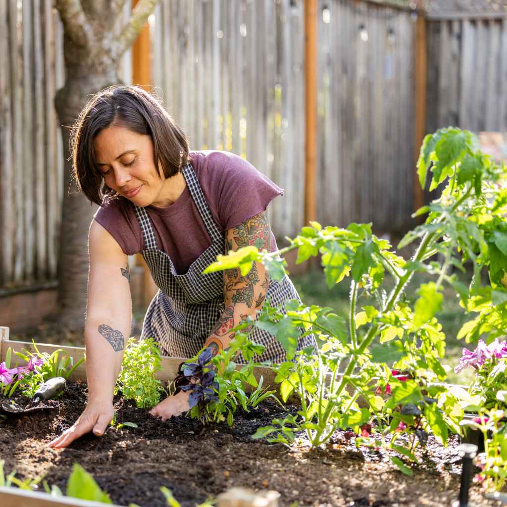 Quick Tips for Safer Rainwater Use