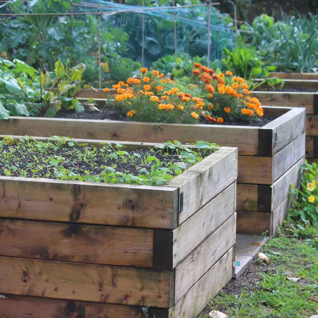 Understanding Pressure Treated Lumber