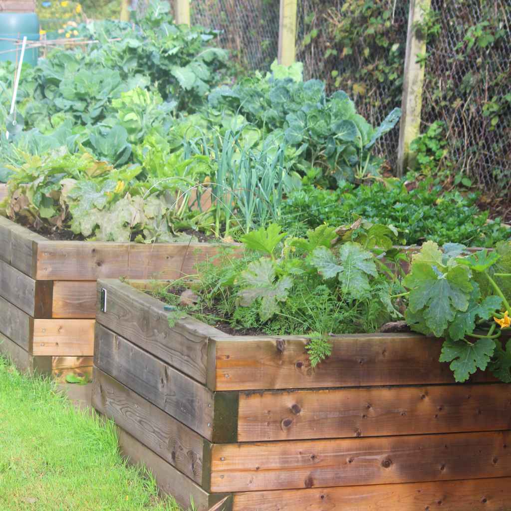 Quick Fixes & Tips for Peace of Mind