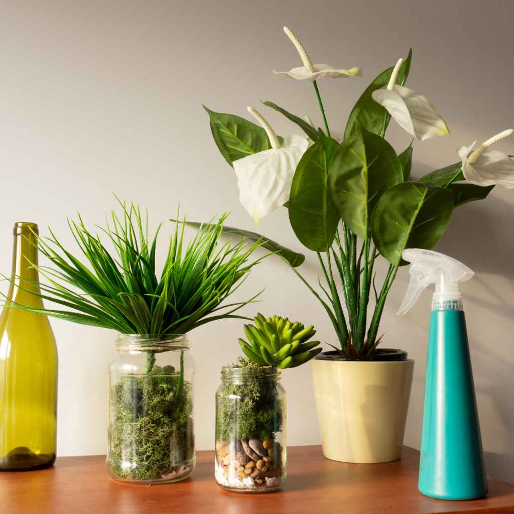 Best True Air-Purifying Plants for Beginners