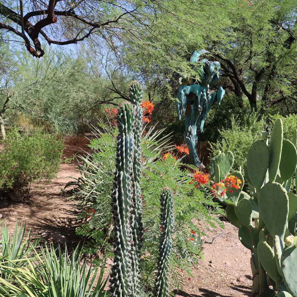 My July Garden Visit That Changed Everything