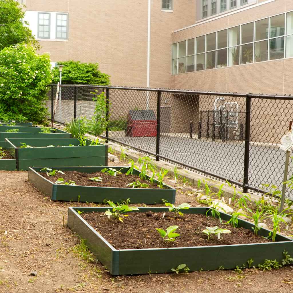 Quick Tips for Building Your Beds