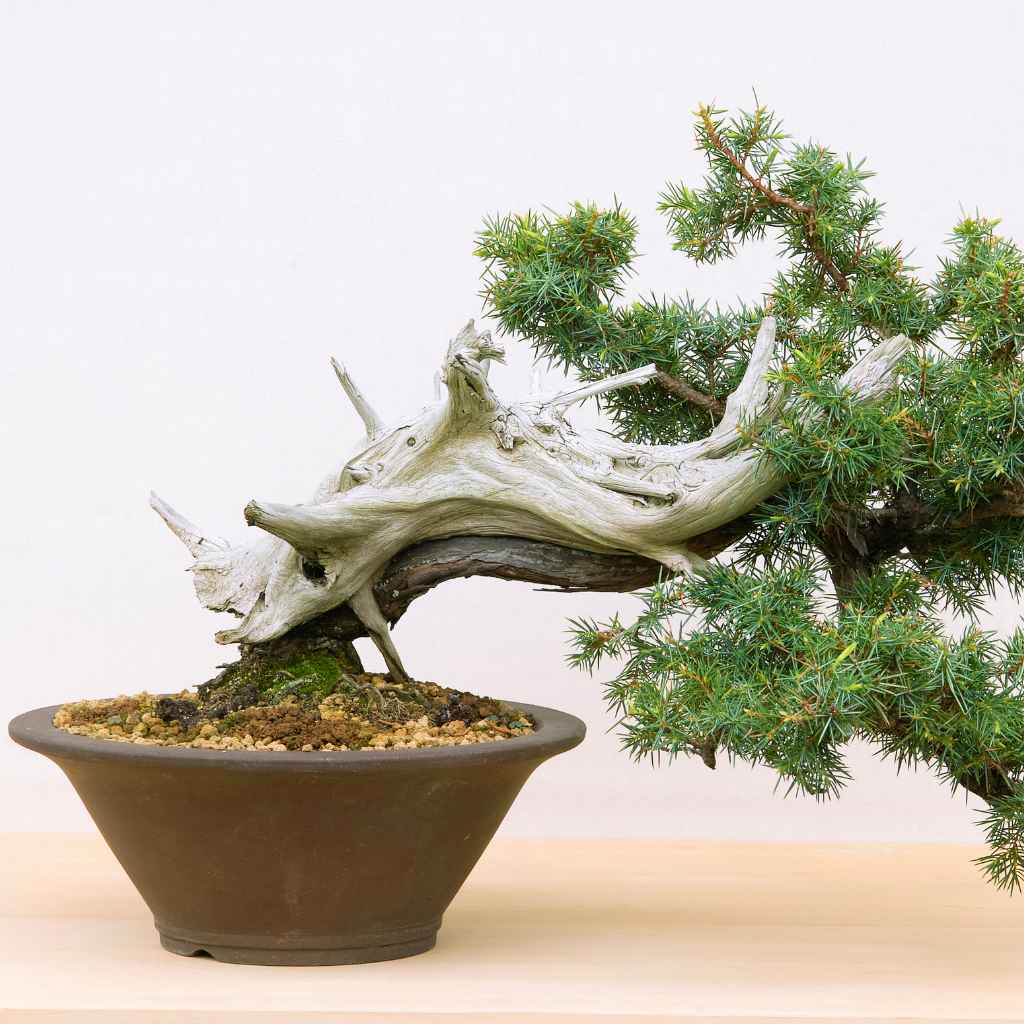 Quick Tips for Soil Success