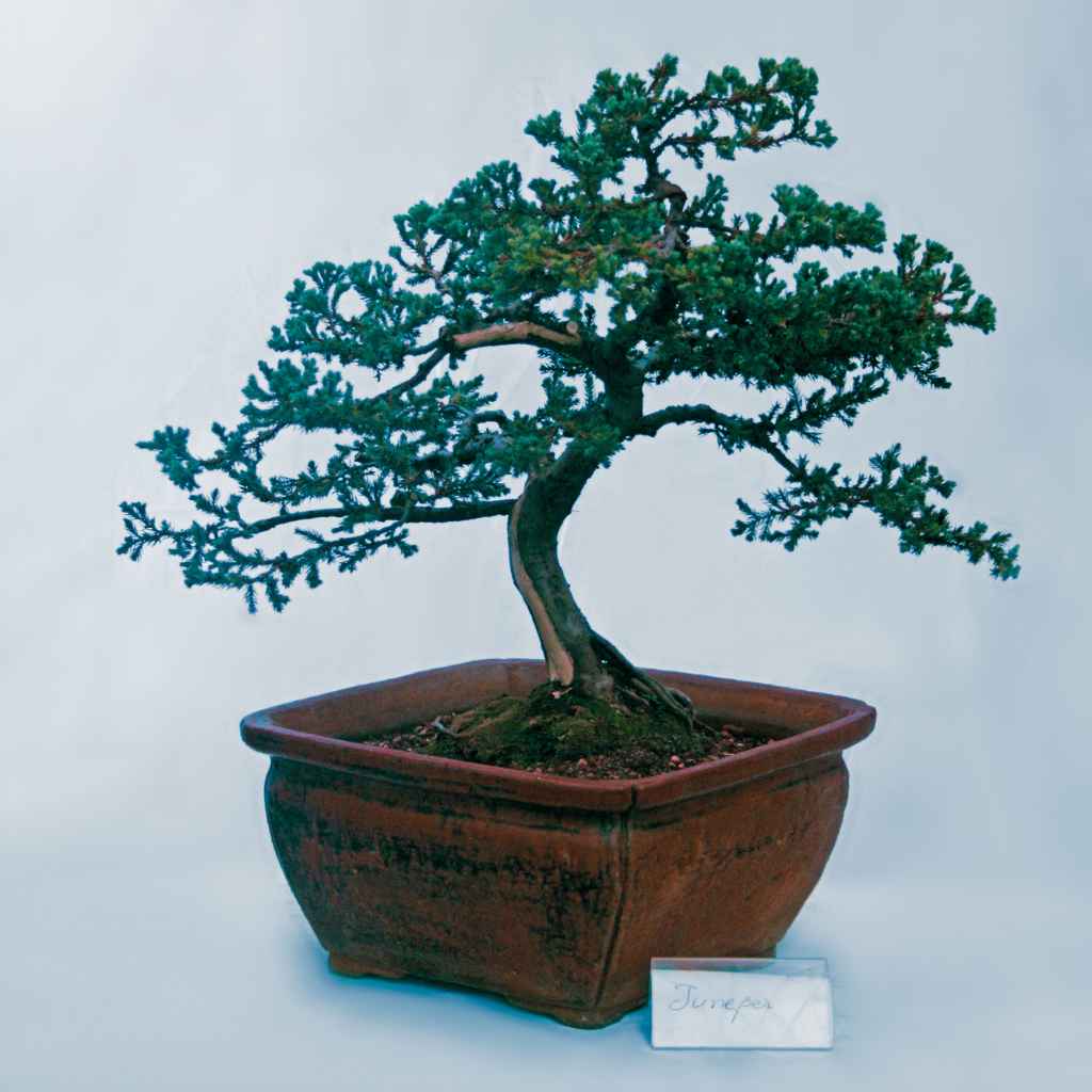 Quick Fixes & Tips for Cold Protection