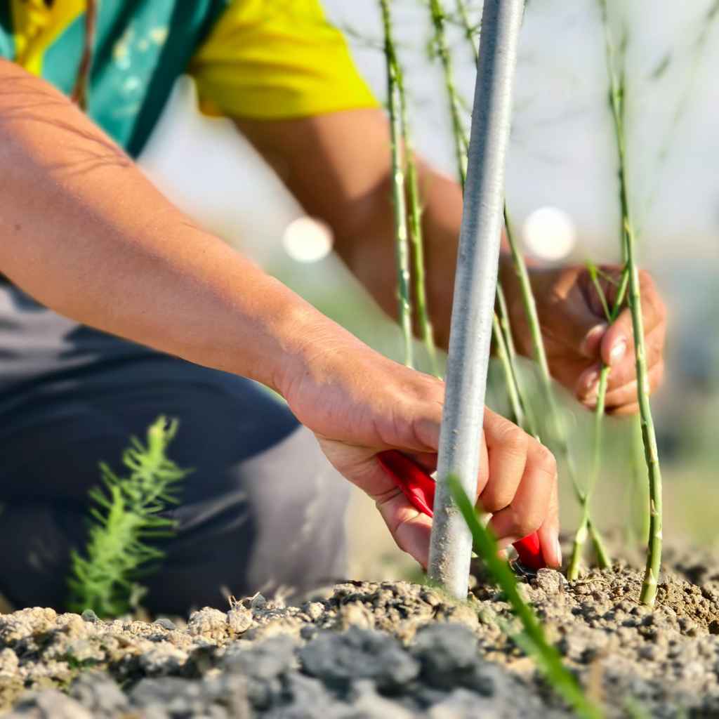 Common Mistakes to Avoid