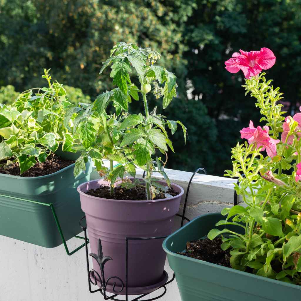 Quick Tips for Choosing and Using Pots