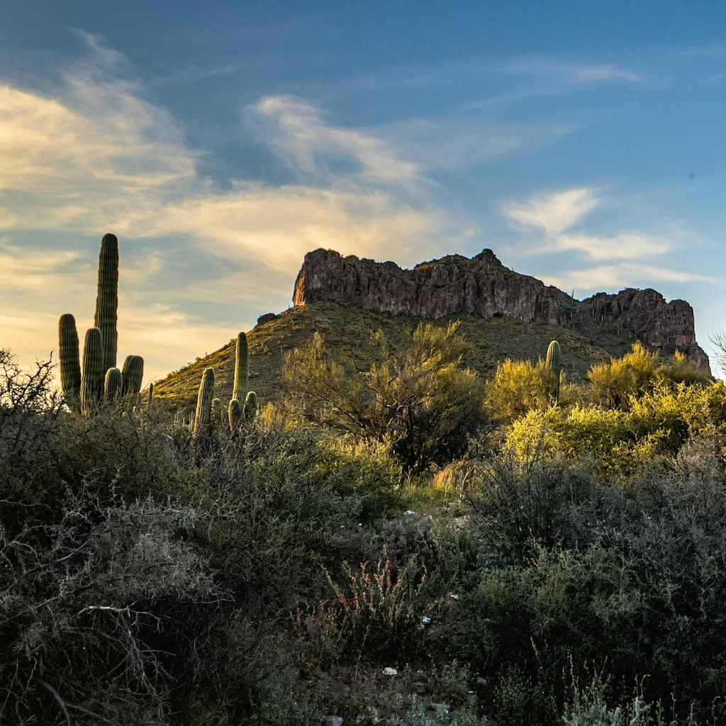 Quick Fixes & Tips for Desert Exploration