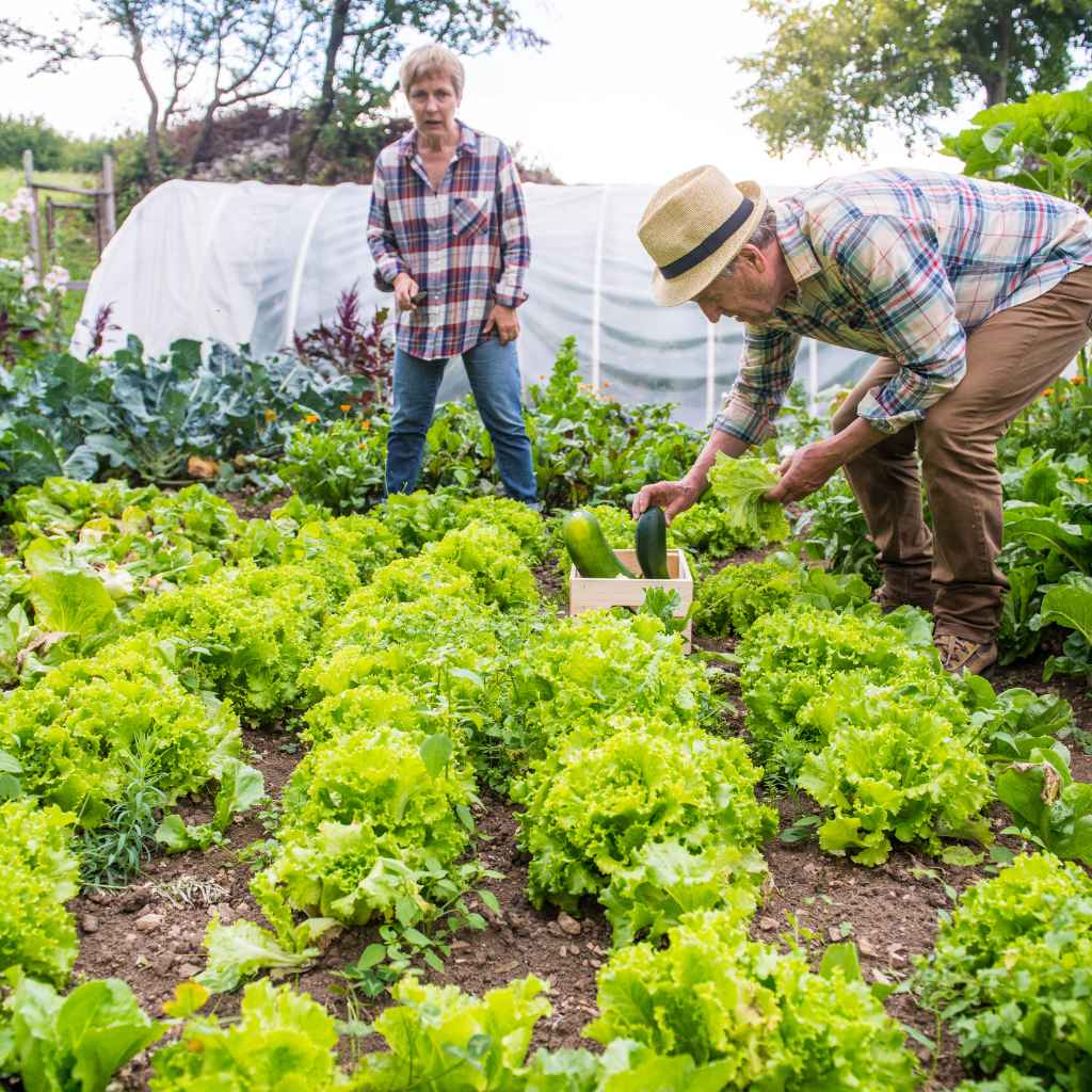Why Use Intensive Gardening Methods?