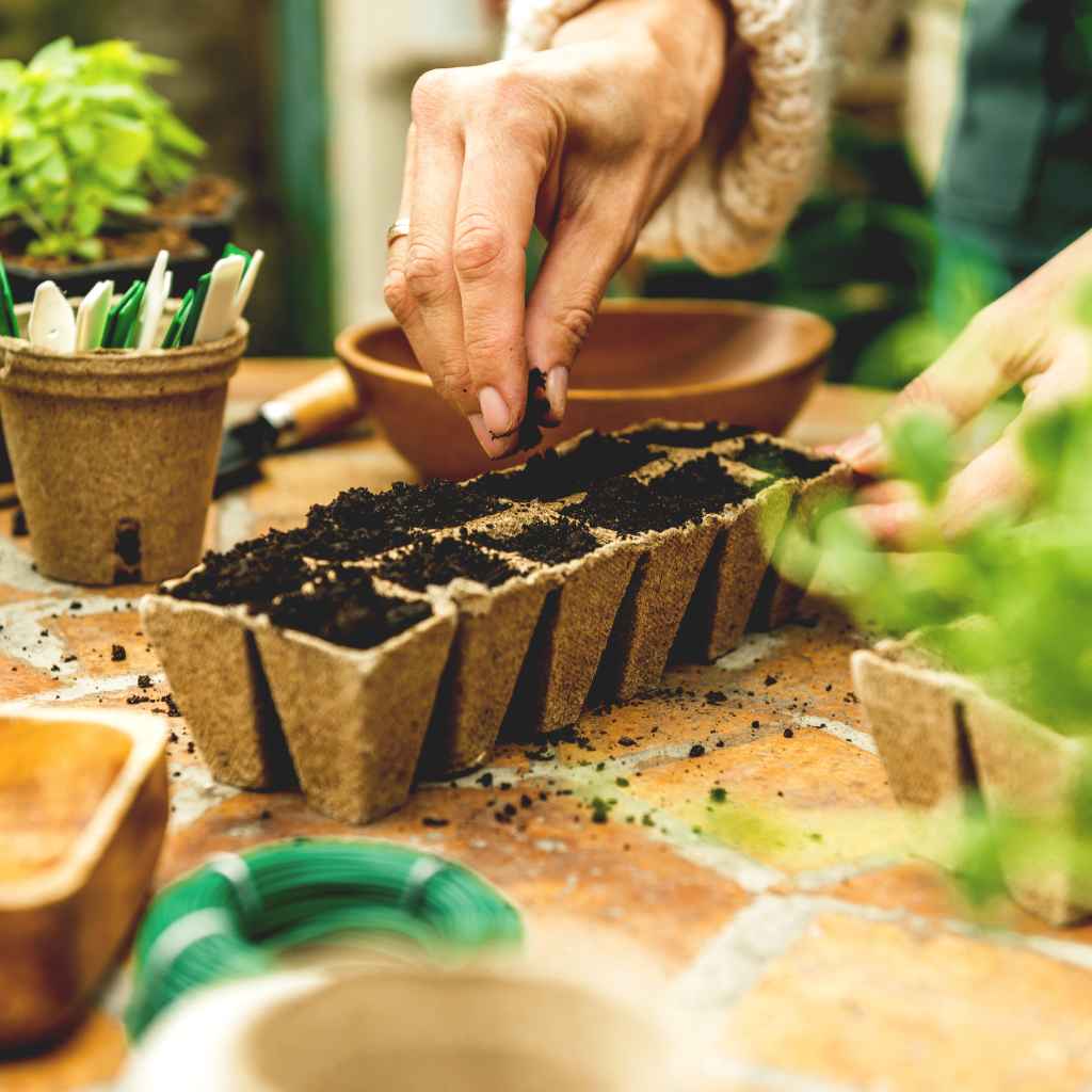 Quick Tips for Seed Success