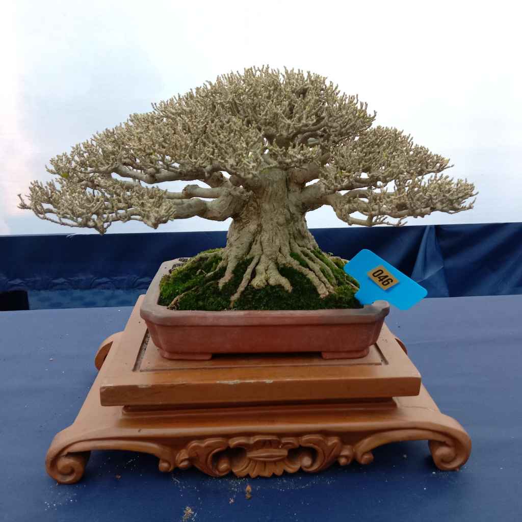 Quick Tips for Better Light Exposure