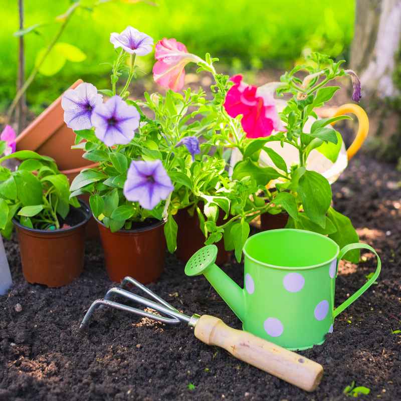 Can You Use Garden Soil for 5-Gallon Container Gardens?