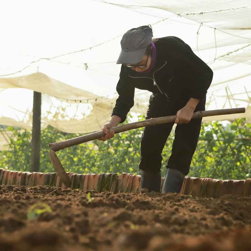 Quick Fixes & Tips for Reducing Erosion