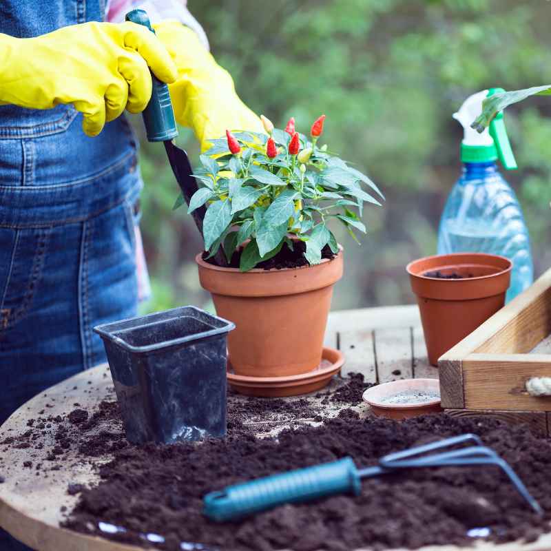 Quick Tips for Dealing with Clay