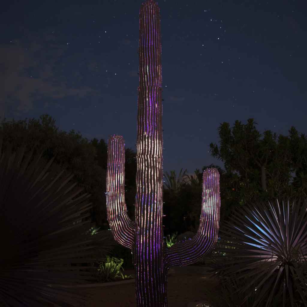 Quick Tips for Enjoying the Electric Desert
