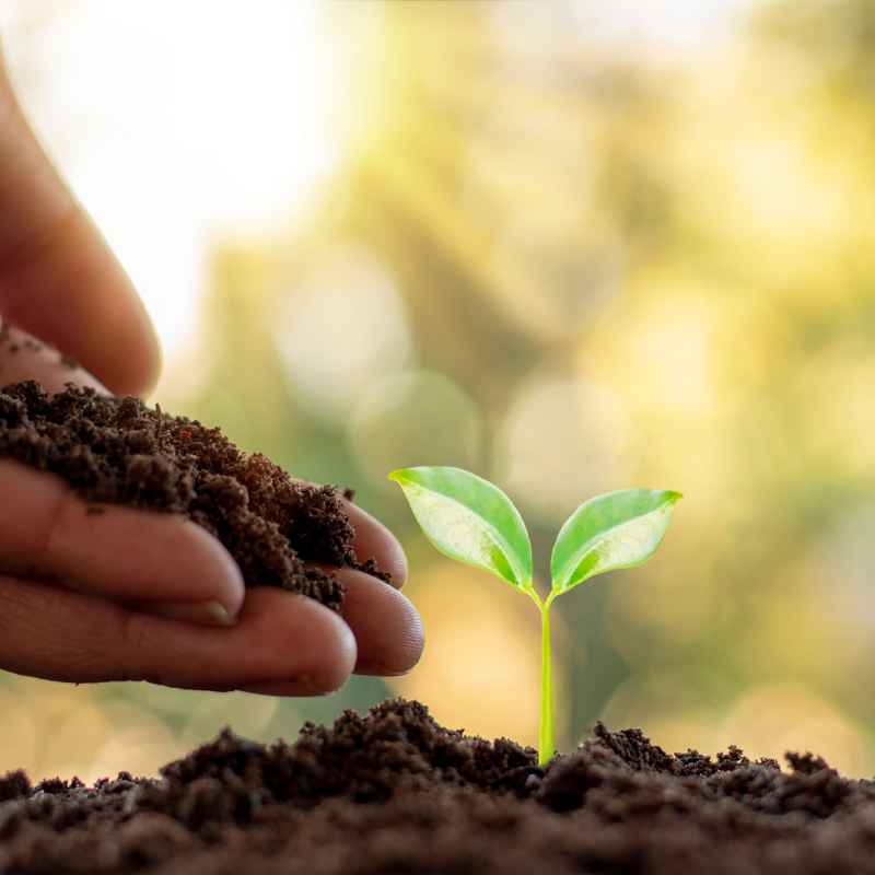 Quick Tips for Healthier Soil
