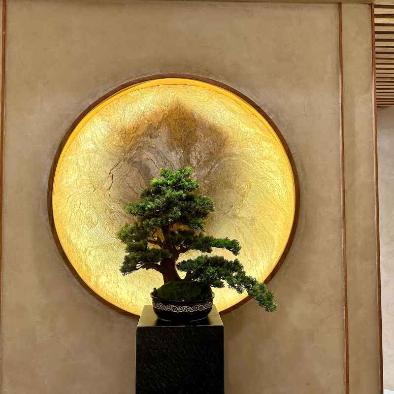 Quick Tips for Healthy Dwarf Jade