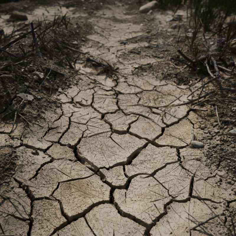 Quick Tips for Soil Health