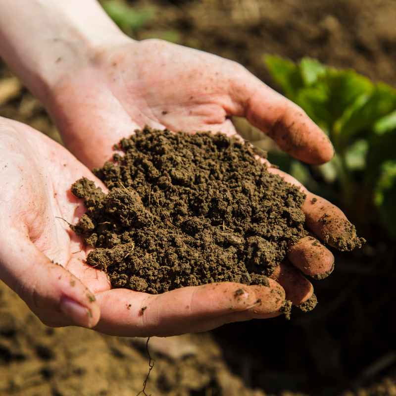 Quick Tips for Soil Walls
