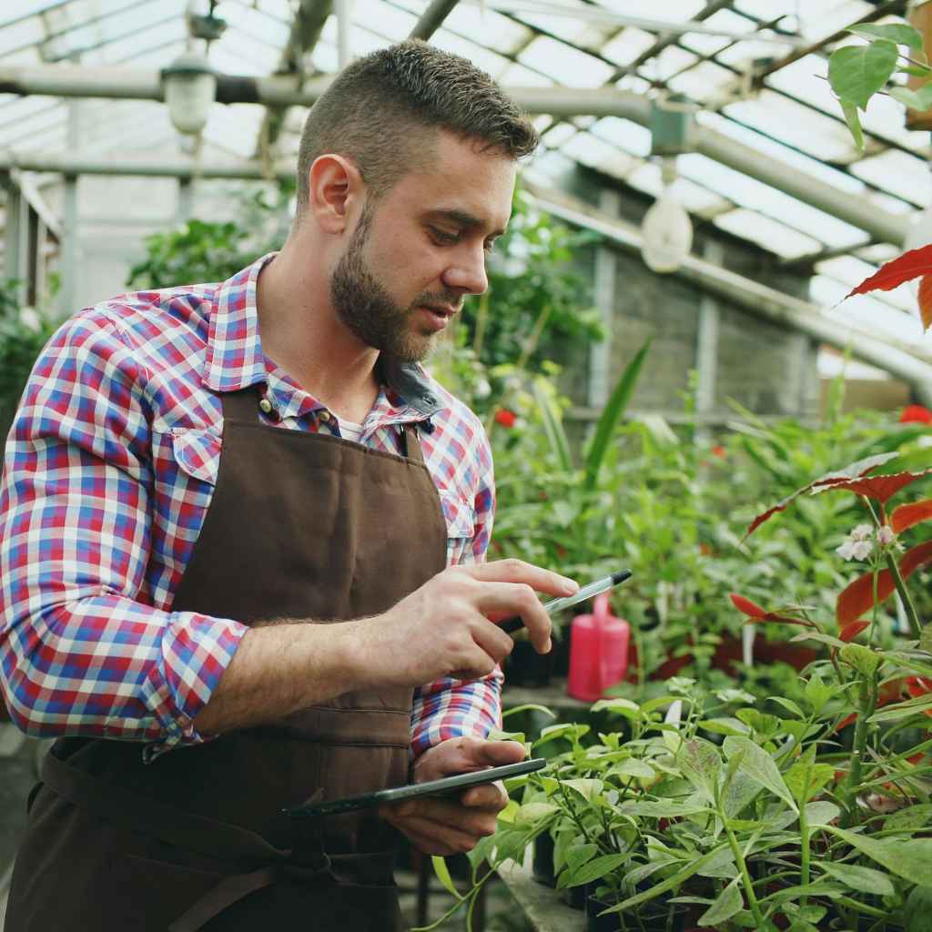 Quick Tips for a More Sustainable Yard
