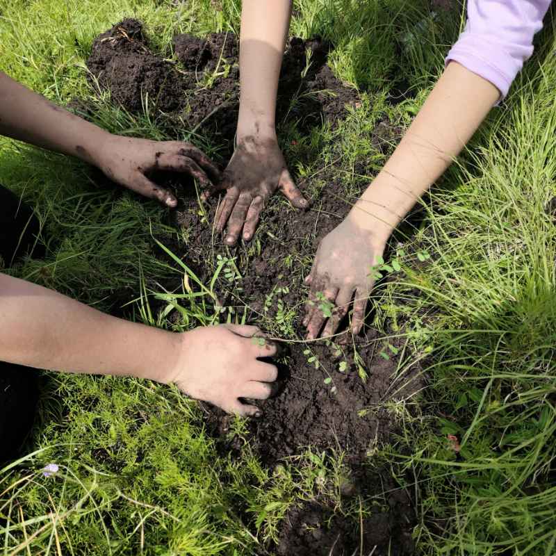 Tips for Managing Cut and Fill Projects