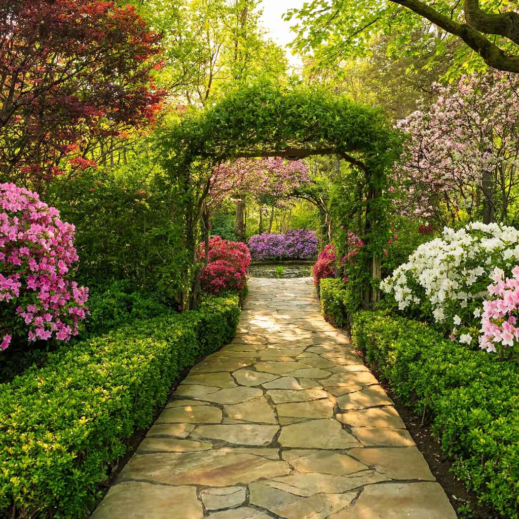 Understanding Allerton Botanical Gardens