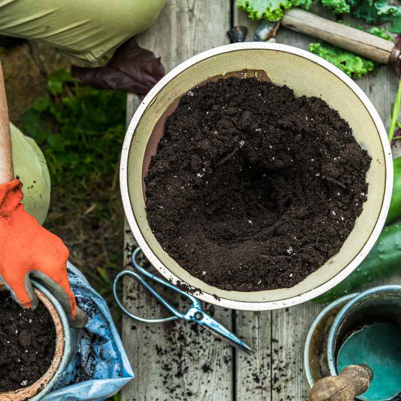 Understanding Garden Soil