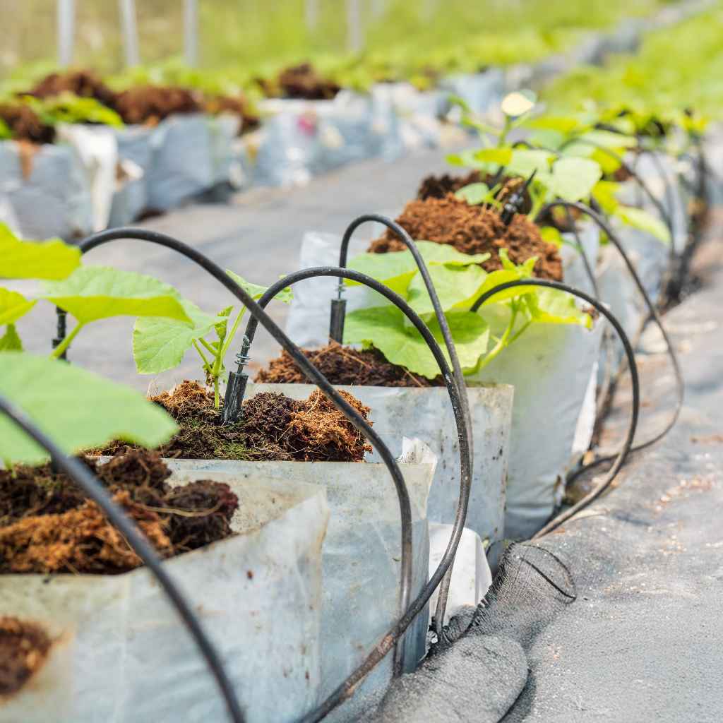 Understanding Landscape Fabric and Drip Irrigation
