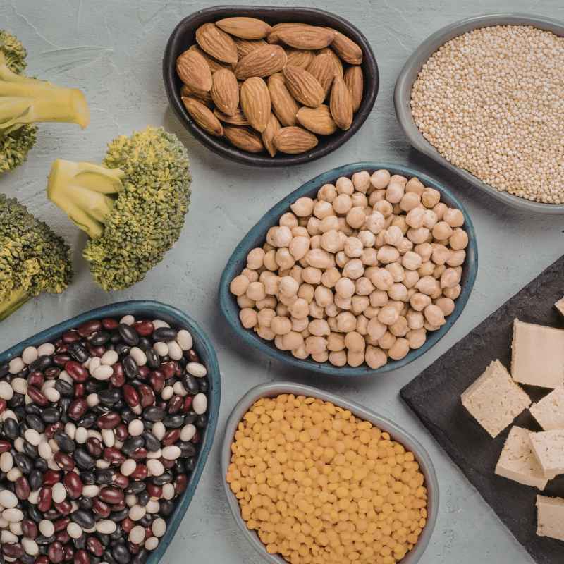 Understanding Plant-Based Proteins