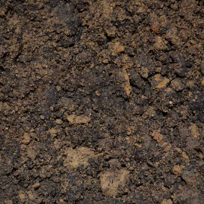 Understanding Soil Types