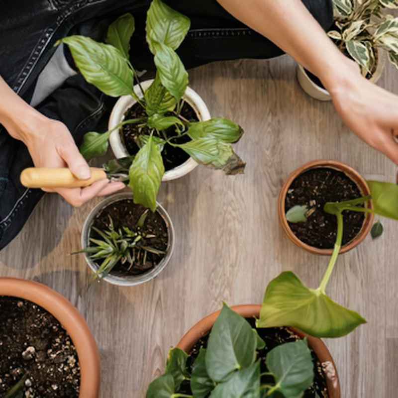 What Are Cohesive Soils with Clay?