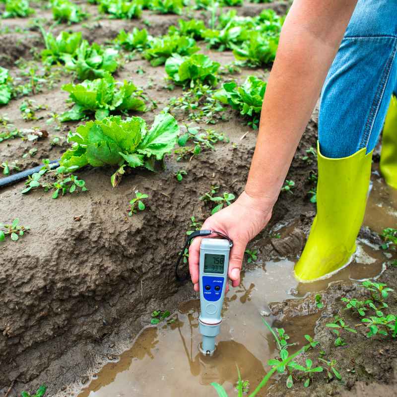 What is Soil pH?