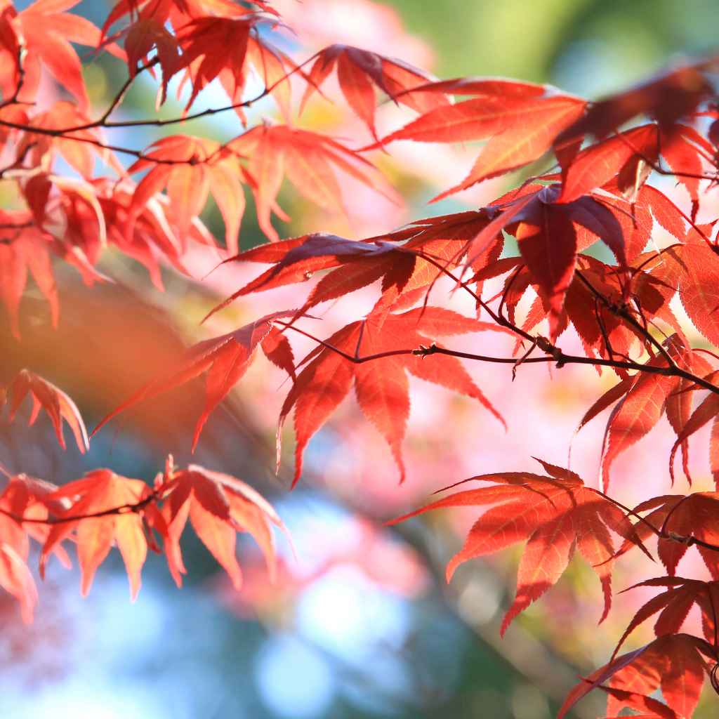 When to Worry and When to Relax