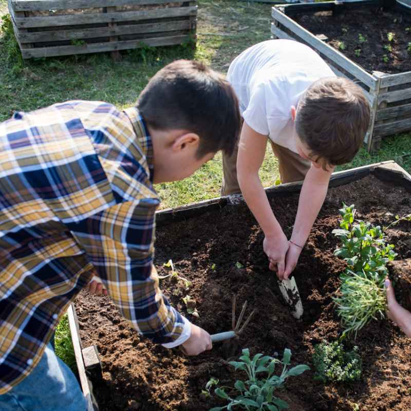 A Garden Savior or Just a Myth